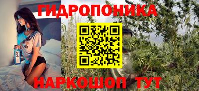 крисы Старая Купавна