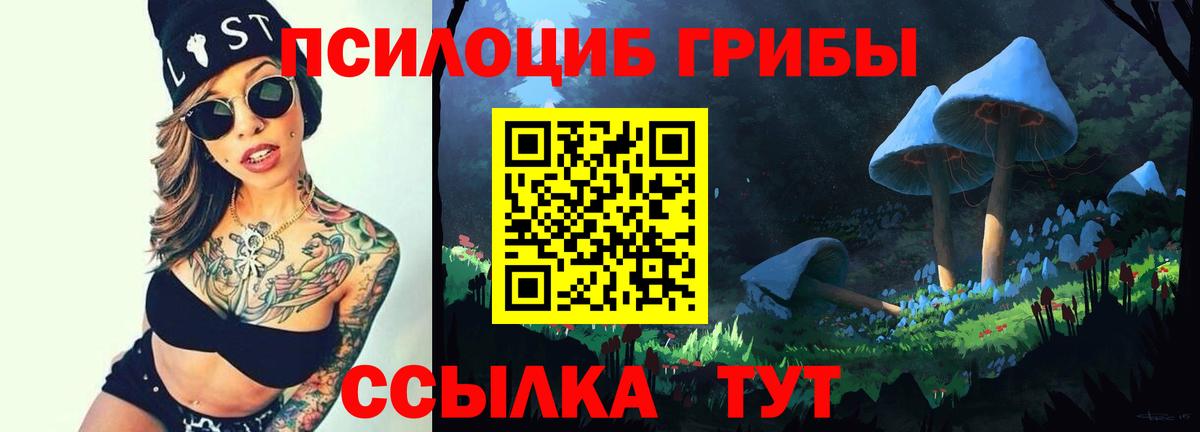 Галлюциногенные грибы MAGIC MUSHROOMS  Вход с VPN  Новоалтайск  Галлюциногенные грибы Cubensis 